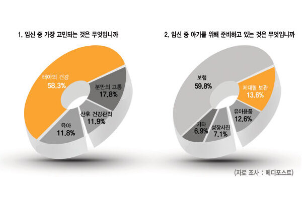 임신부 60% 태아건강이 가장 고민 2위는 분만고통